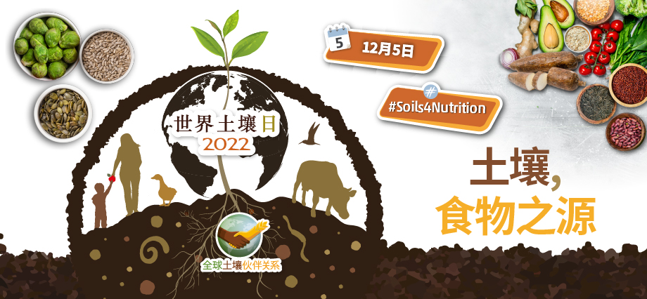 2022世界土壤日2.jpg 2022世界土壤日2.jpg